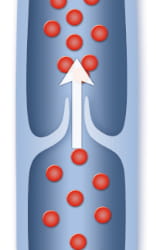 Beinvene mit gesunden Klappen